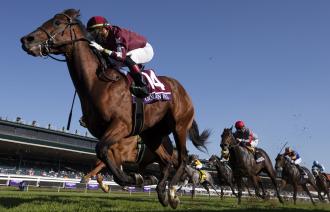 Daily Racing Form | Horse Racing | Entries | Results | PPs (Past ...